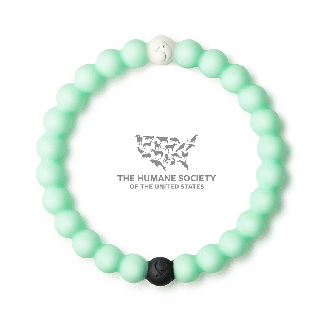 Cincinnati Bengals Logo Bracelet – Lokai