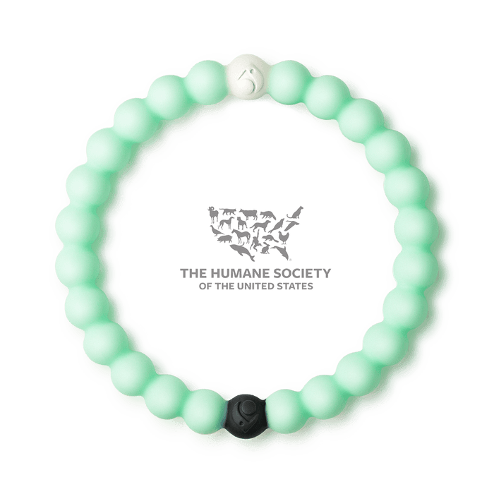 Animal rescue best sale bracelets
