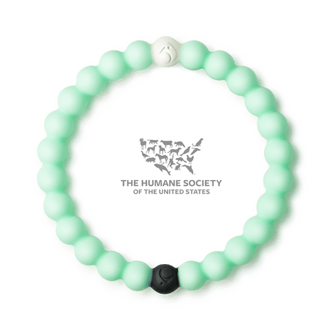 Lokai 2025 animal rescue