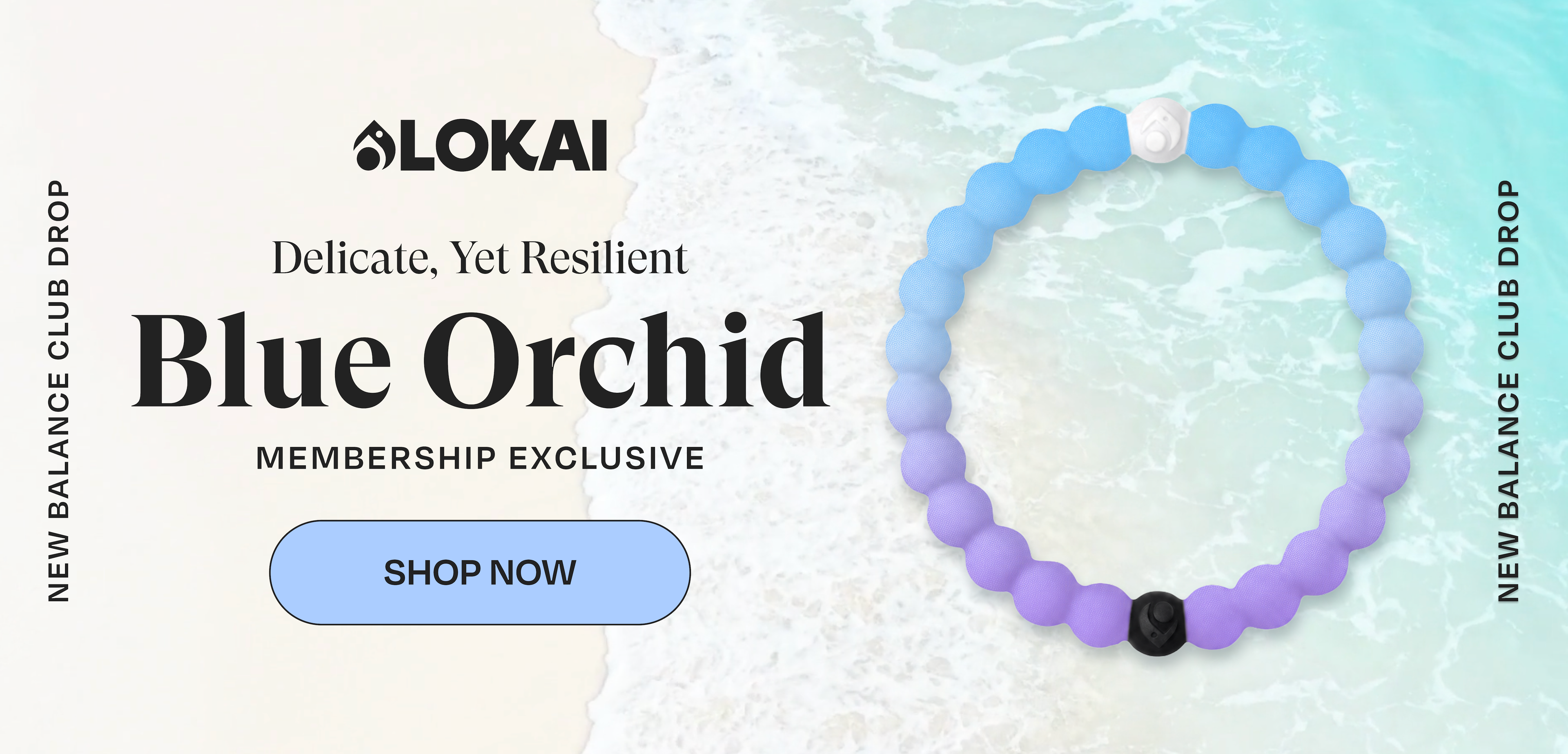Blue Orchid Membership Exclusive