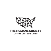 Animal Rescue Paw Print Bracelet