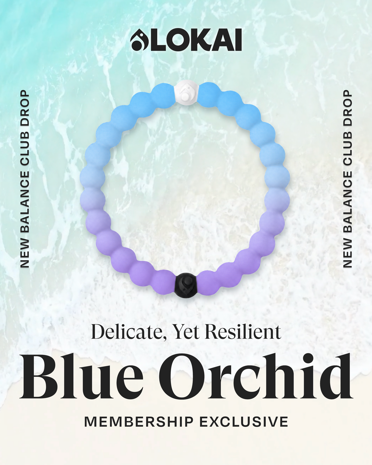 Blue Orchid Membership Exclusive
