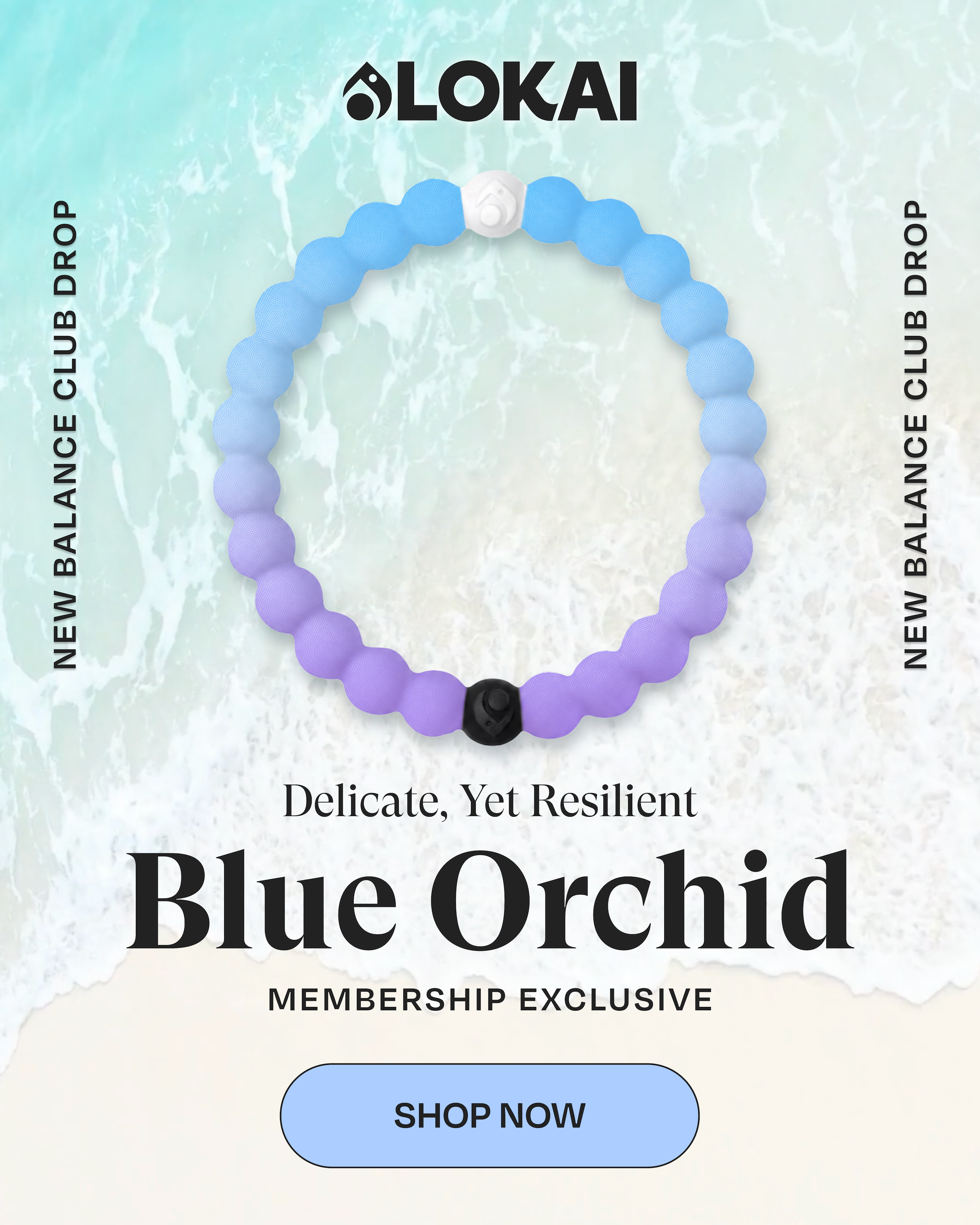 Blue Orchid Membership Exclusive