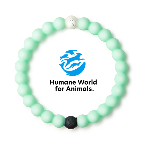 Animal Rescue Mint Bracelet